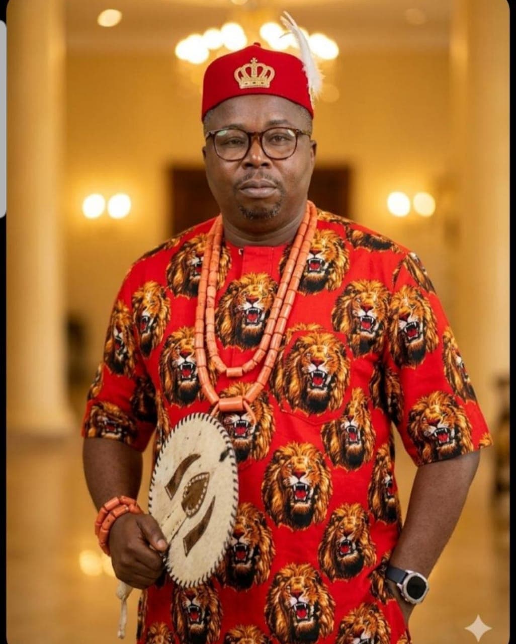 Chief Executive Officer of Denisco Global Agriculture Limited